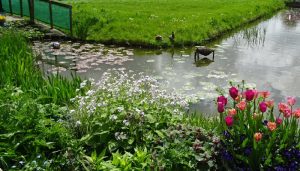 Top in de Kop en Groene Route succes