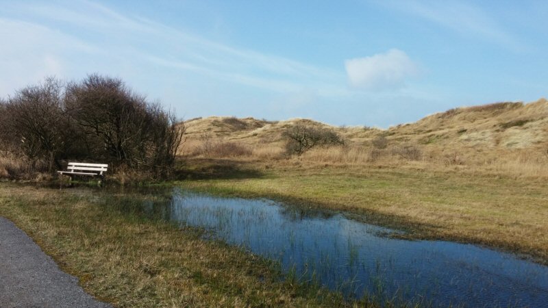 Stikstofvermindering Zwanenwater en Petten