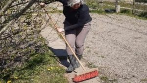 Zaaien en oogsten bij Matchgroep De Tuin
