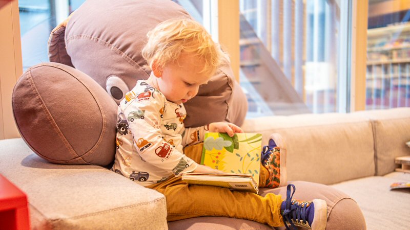 BoekStartdag met online programma