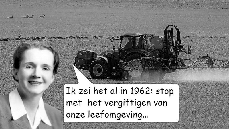 Column: Een fabel voor morgen