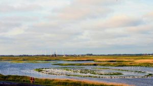 Kraamkamer grote stern staat onder water