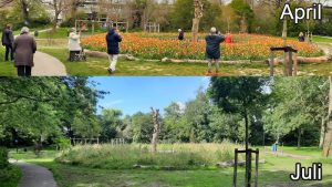 Keukenhof Waldervaart verandert in onkruidjungle