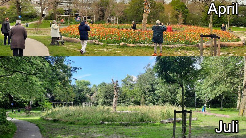 Keukenhof Waldervaart verandert in onkruidjungle