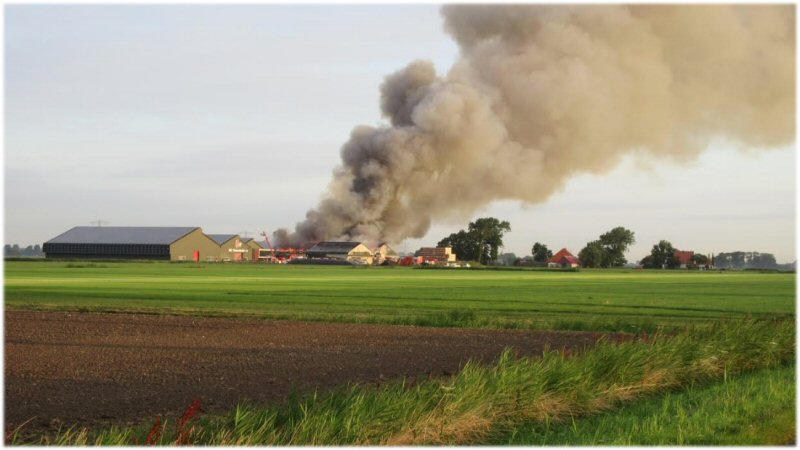 Extra verzekeren voor brand met zonnepanelen