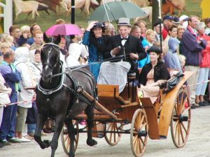 RINGSTEKEN IN SCHAGEN