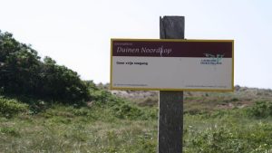 Zomerse drukte; extra toezicht strand en duinen