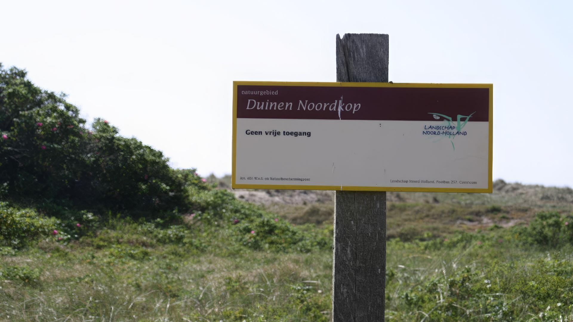 Provincie vraagt 35 miljoen voor herstel duinen in de Noordkop