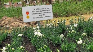 Anjerveld voor veteranen in Schagen