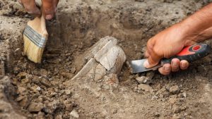 Archeologie en cultuurhistorie in kaart