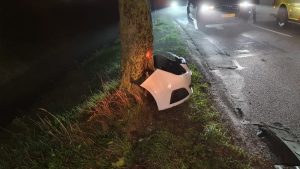 Ongeval door mist in Waarland