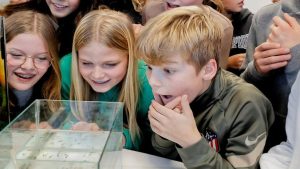 Wending in axolotl-babyboom Regius College
