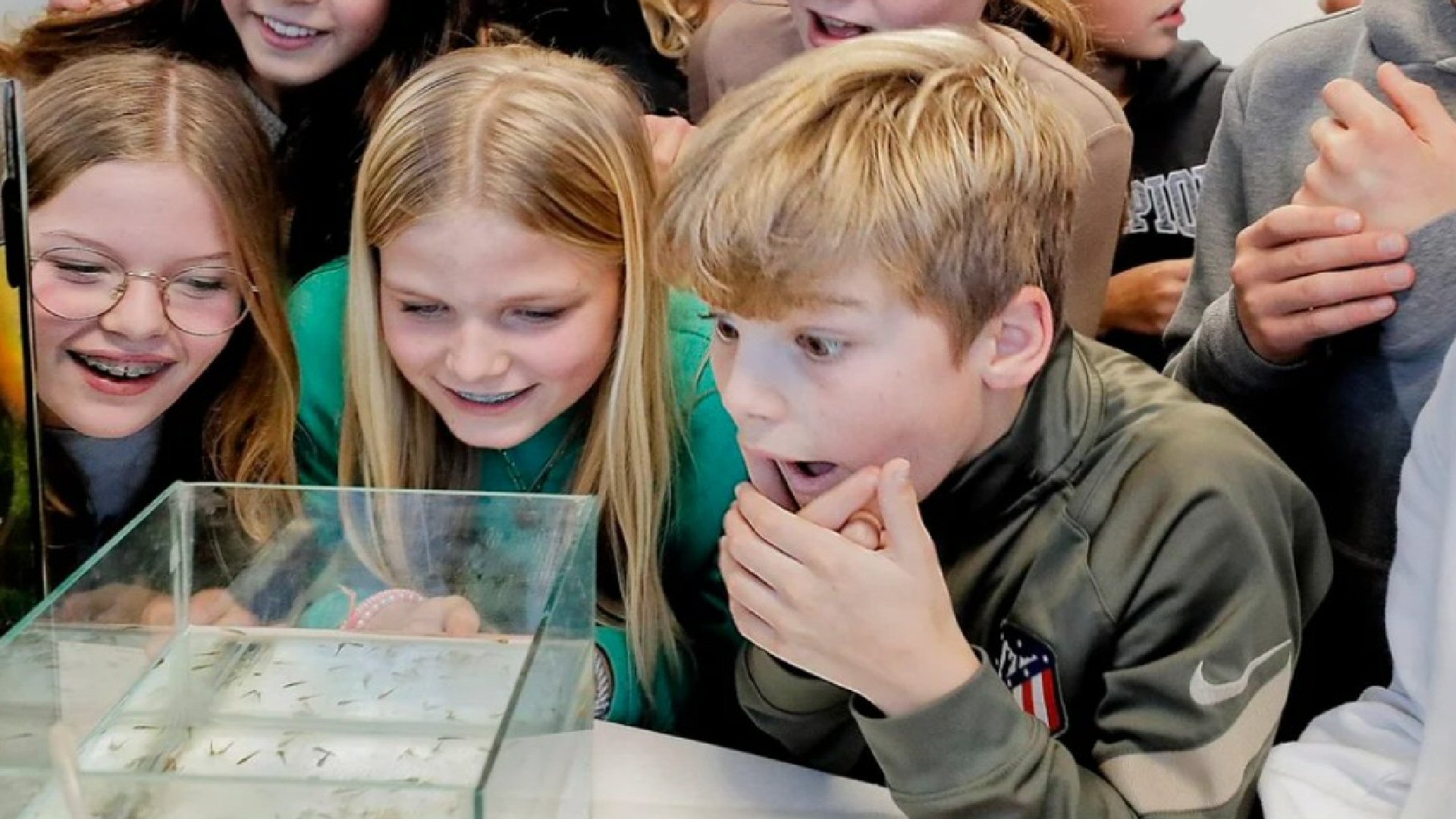 Wending in axolotl-babyboom Regius College
