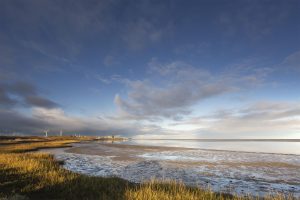 Wadlopen op Balgzand voor jong en oud