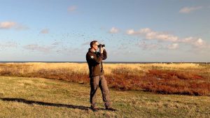 Vogelfeest op Balgzand dankzij maaibeheer Landschap Noord-Holland