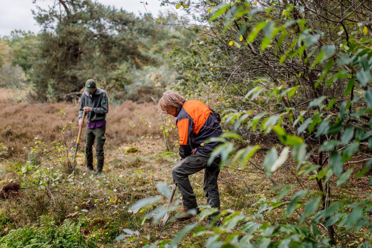 Binnenwerk aan de slag bij Staatsbosbeheer