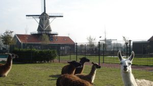 Van Blanckendaell Park bestaat 15 jaar
