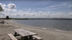 Negatief zwemadvies bij Lutjestrand wegens blauwalg