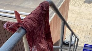 Slachtoffer Petten was dronken Duitser