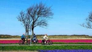 Super Bloeiend Zijpe Fietsdag