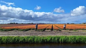 Geslaagde wandeldag Bloeiend Zijpe