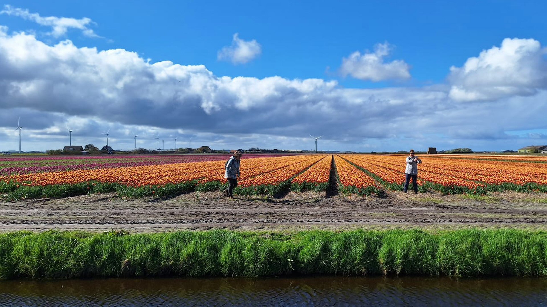 Geslaagde wandeldag Bloeiend Zijpe