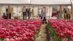 Kunstexpositie Bloeiend Zijpe