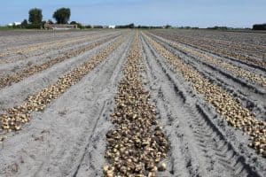 CDA bijeenkomst over agrarische sector, visserij en het platteland in ’t Zand