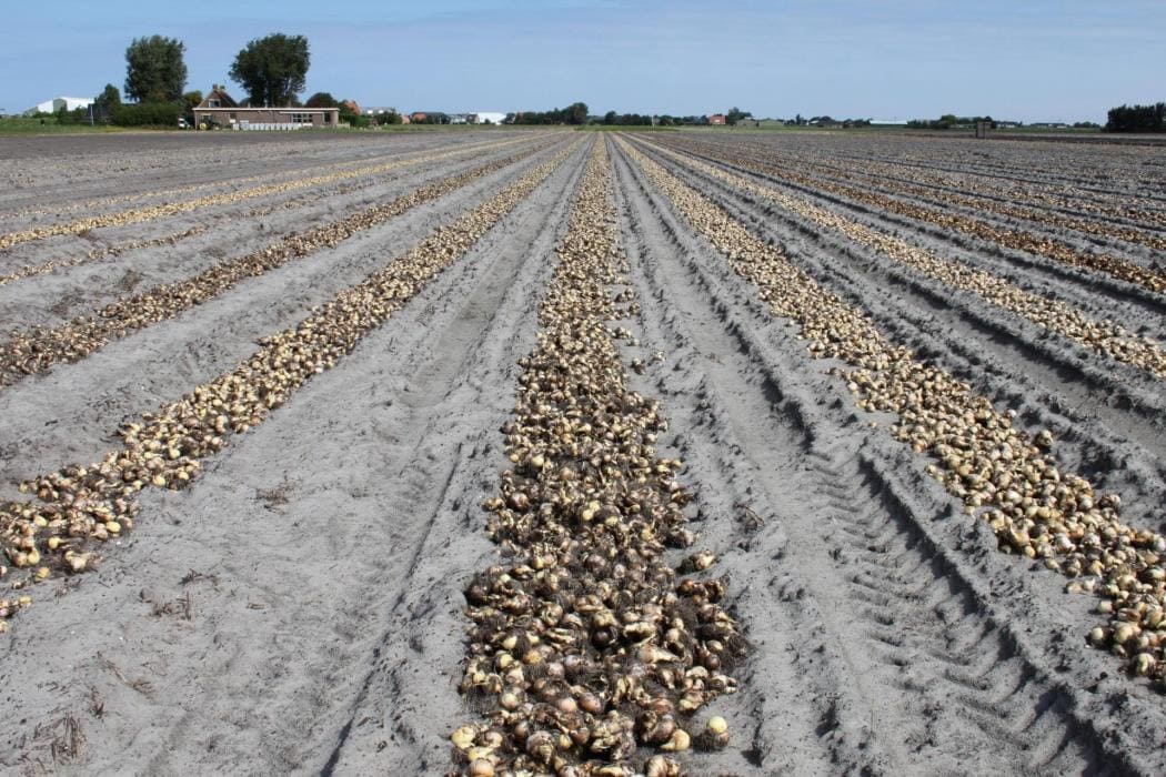 CDA bijeenkomst over agrarische sector, visserij en het platteland in ’t Zand