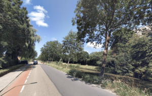 Gemeente Hollands Kroon vervangt 45 bomen aan Molenweg in Wieringerwaard