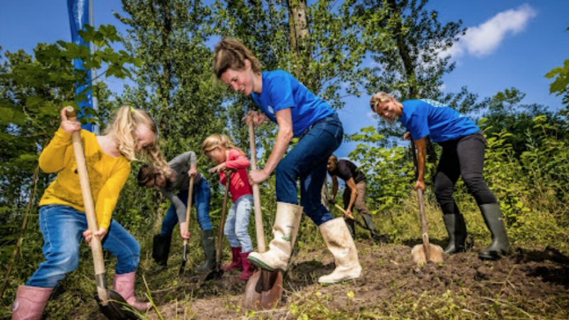 Gemeente Schagen plant 460 nieuwe bomen