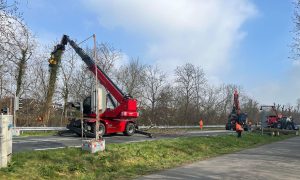 Populierenbomen langs de N99 worden gesnoeid