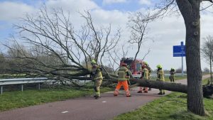 Boom omgewaaid op fietspad N241