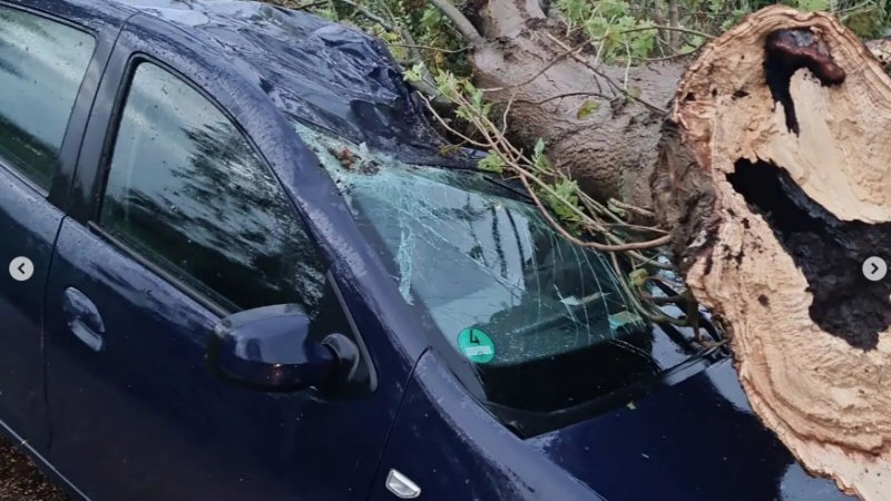 Automobilist komt met de schrik vrij