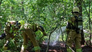 Beginnende bosbrand Donkere Duinen
