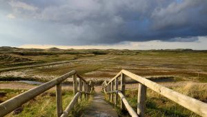 Landschap N-H tegen oefenen in ‘t Botgat