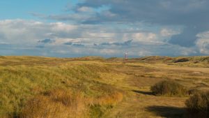 Botgat blijft grotendeels gespaard
