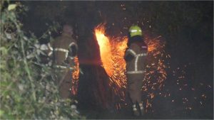 Brand in holle boom Schagen