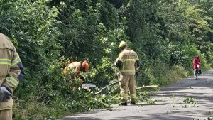 Storm zorgt voor beetje overlast