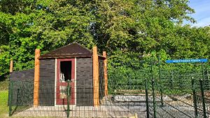 Opening Buurtkippenhok Kibo Waldervaart