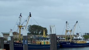 CDA vraagt provincie om steun vissers