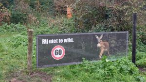 Pas op: overstekend wild