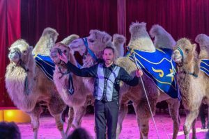 Circus Renz Berlin strijkt neer in Julianadorp