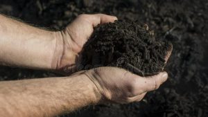 Gratis compost voor inwoners Schagen