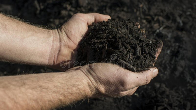 Gemeente Schagen deelt gratis compost uit