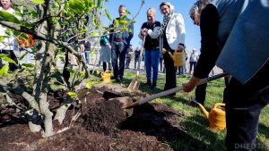 Nieuwbouw Balistraat feestelijk begonnen met planten Magnoliaboom