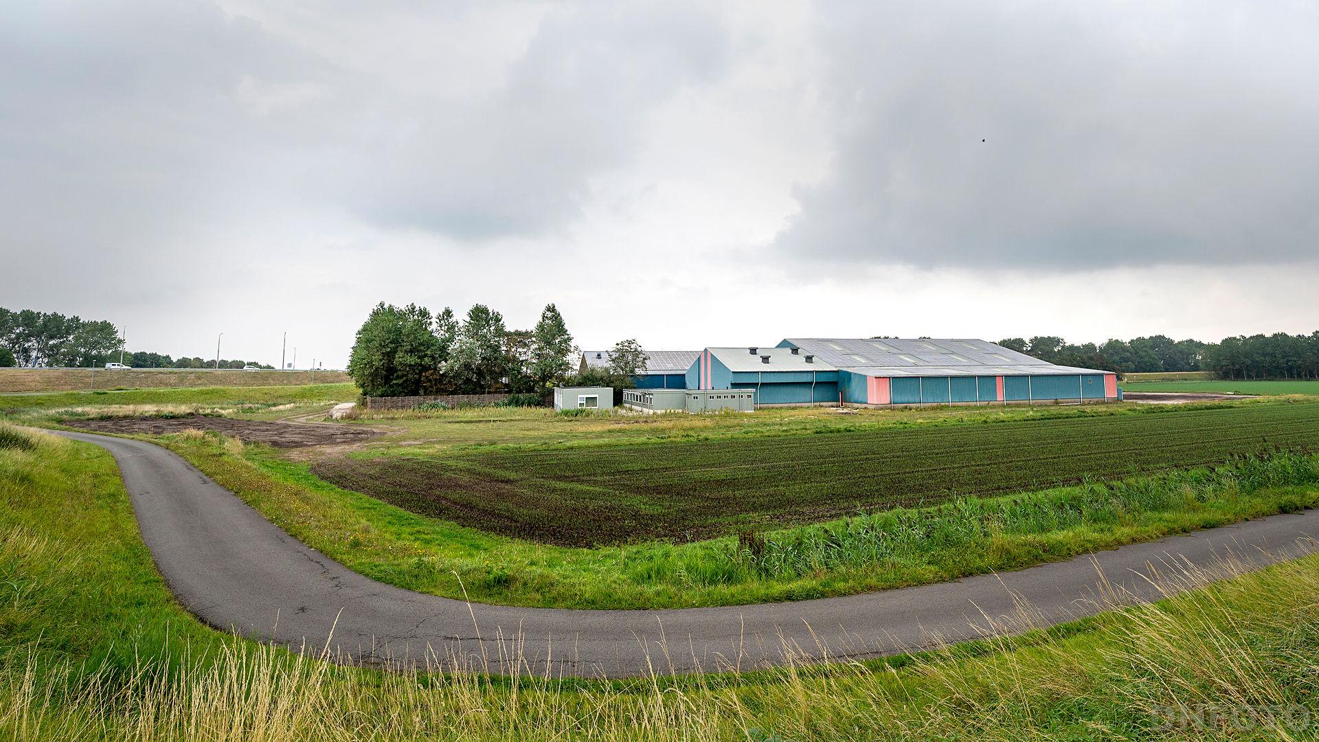 Asielzoekers aan de Balgweg; Hollands Kroon buigt niet voor wensen Den Helder