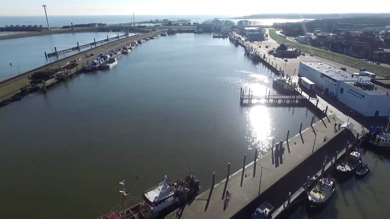 College Hollands Kroon zeer bezorgd over toekomst garnalenvisserij