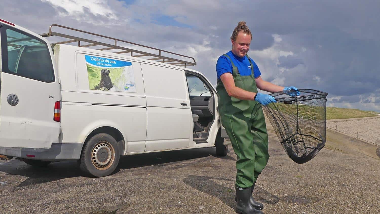 Ecomare brengt opgevangen doornhaai naar zee