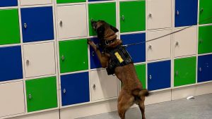 Geen drugs aangetroffen bij controle op Rsg Wiringherlant